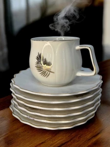 SET CESTI PENTRU CEAI SI CAFEA 12 PCS (QS26-5)