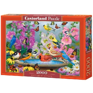 Puzzle 1000 elemente