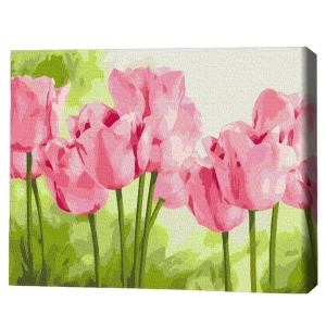 Pictură pe numere 30*40 сm (fără cutie) –  Lalele delicate