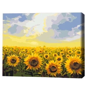 Pictură pe numere 30*40 сm (fără cutie) – Câmp de floarea-soarelui