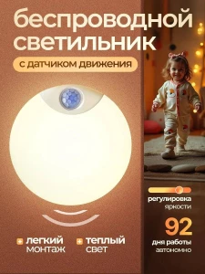УМНЫЙ СВЕТИЛЬНИК С ДАТЧИКОМ ДВИЖЕНИЯ (F13-30-1)