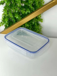 CONTAINER HERMETIC CU CAPAC SI GARNITURA DIN SILICON 565 ML (D30412)