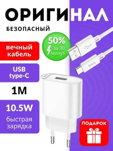 ЗАРЯДНОЕ УСТРОЙСТВО USB 10.5W + КАБЕЛЬ TYPE-C HOCO (C109A)
