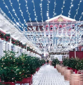 GHIRLANDĂ DE CRACIUN, LUMINA ALB RECE, 5OM