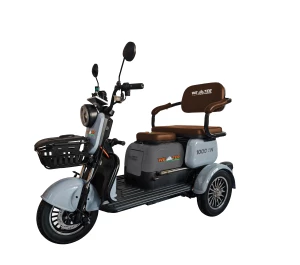 Tricicleta electrica Weter 1000 IN