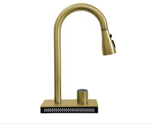 Baterie bucatarie cu dus SanDonna ASTER Auriu